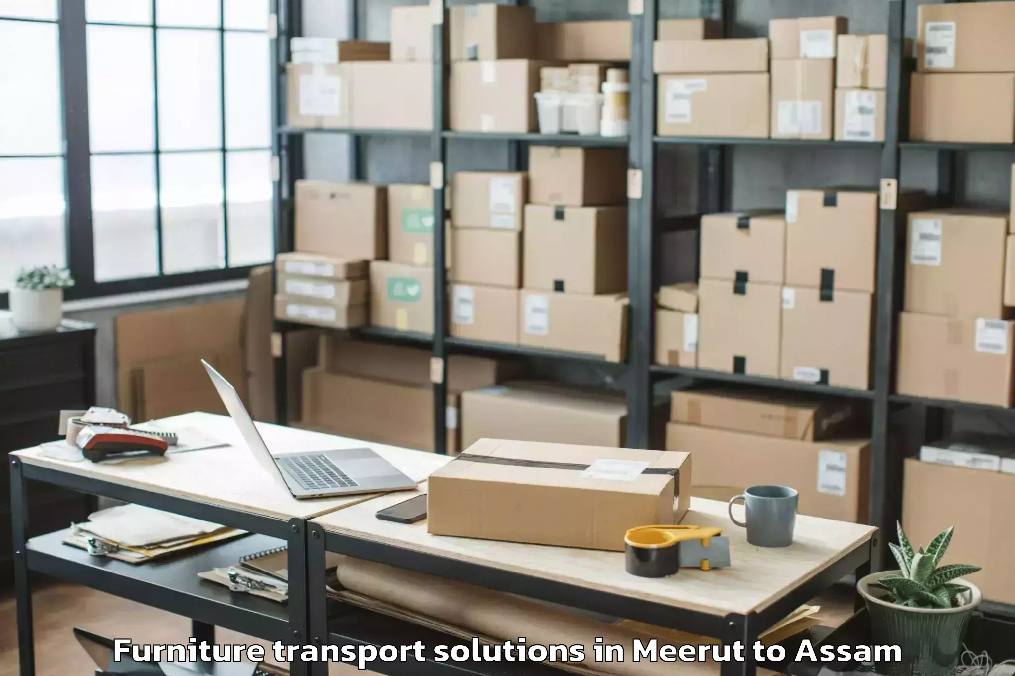 Reliable Meerut to Dibrugarh University Furniture Transport Solutions